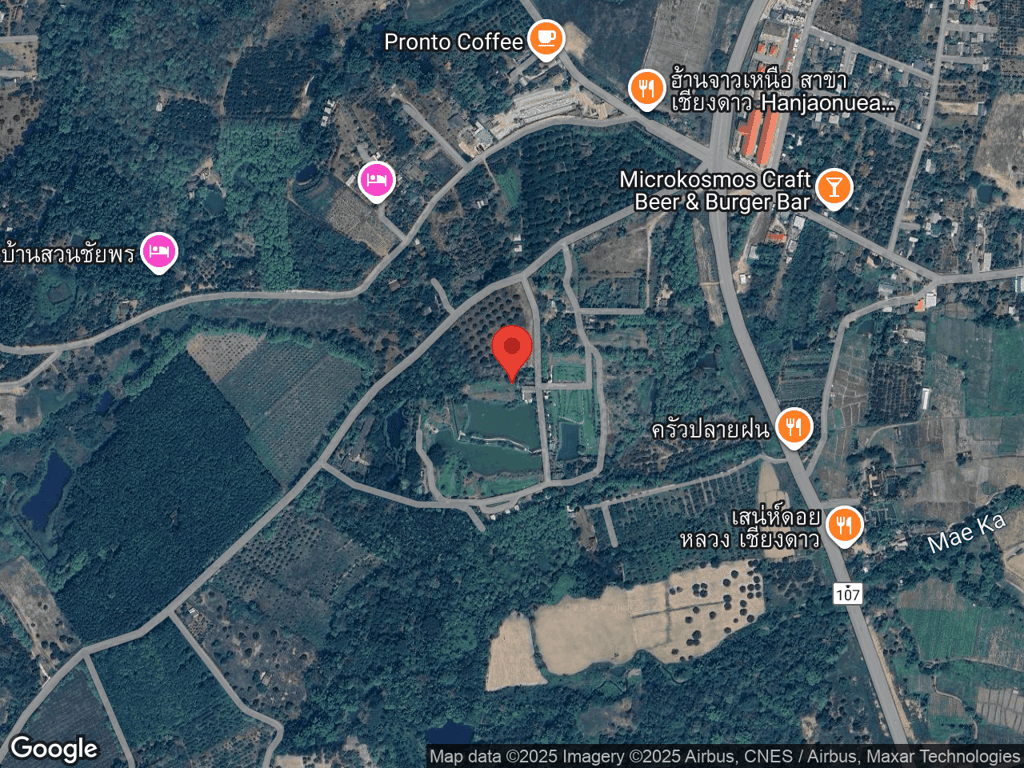 สถานที่หายของHoney ฮันนี่