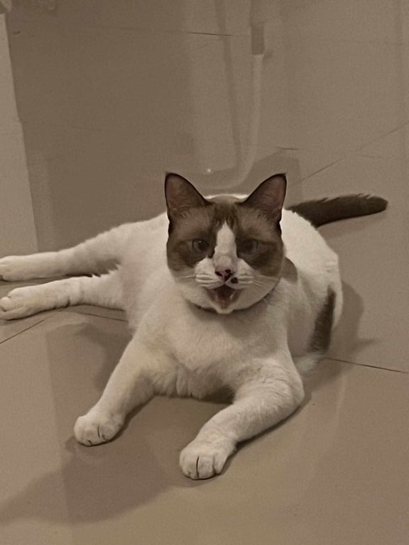 นิ่งนิ่ง
