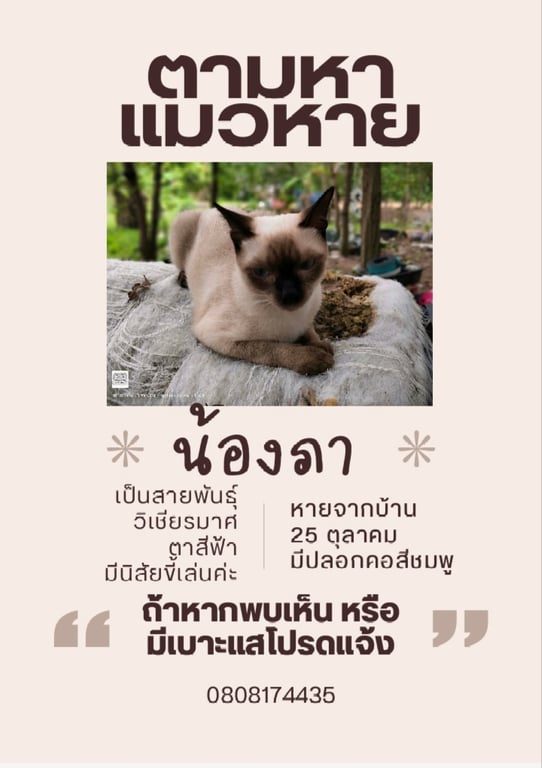 น้องภา