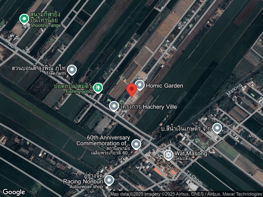 สถานที่หายของผักบุ้ง