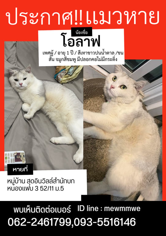 โอลาฟ