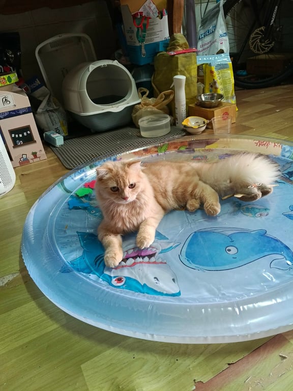 มีตังค์