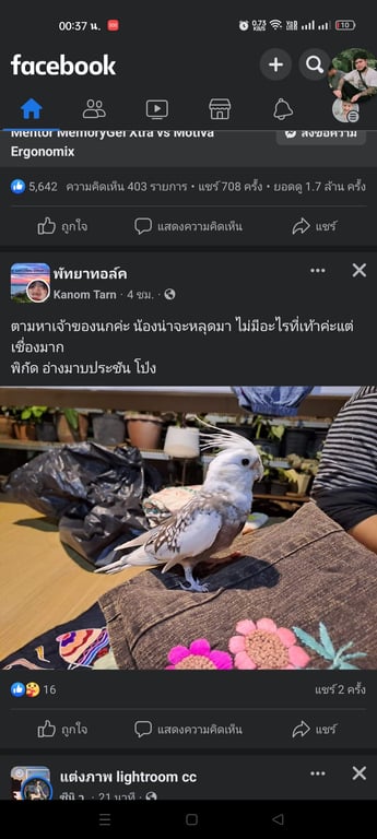 ตามหาเจ้าของนก อ่างมาบประชัน โป่งพัทยา