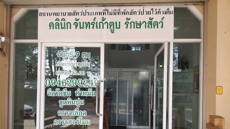 คลินิกจันทร์ 9 ตูบรักษาสัตว์