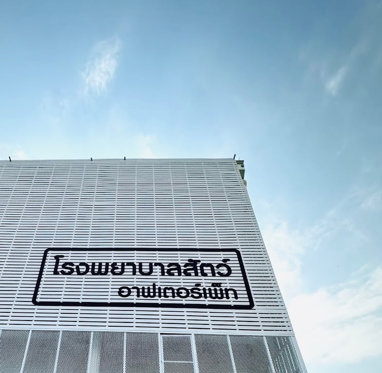 โรงพยาบาลสัตว์อาฟเตอร์เพ็ท Afterpet Animal Hospital