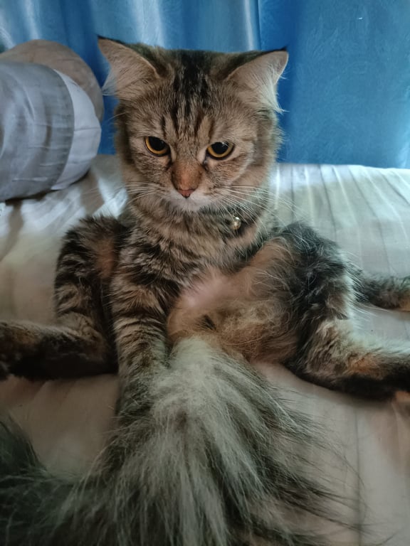 ลูกไหน
