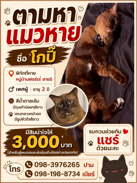 โกปิ๊