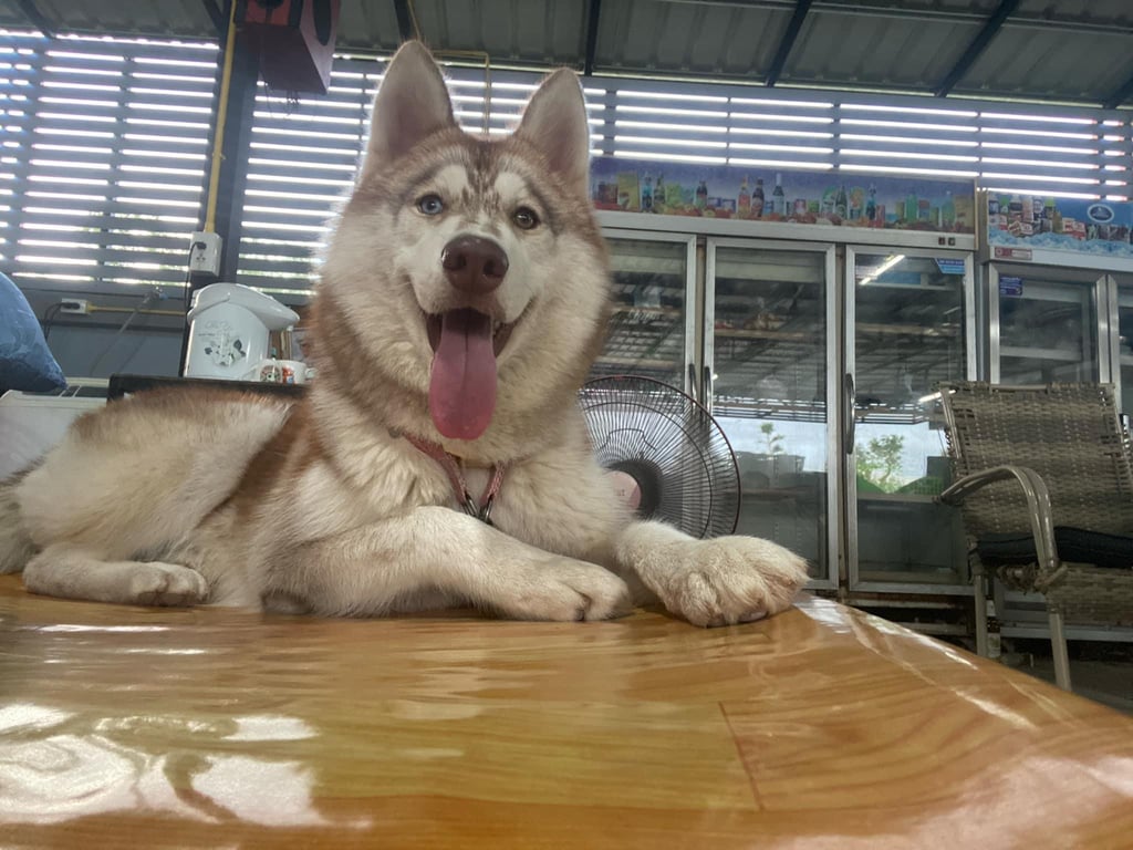 มีตังค์