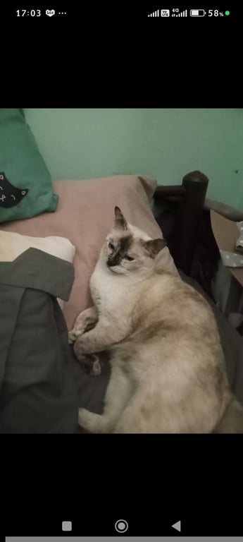 ยูกิ