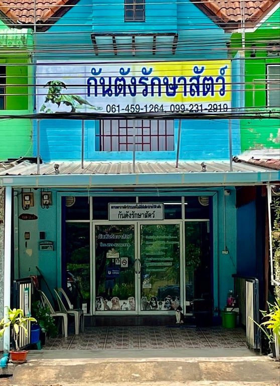 คลินิกกันตังรักษาสัตว์