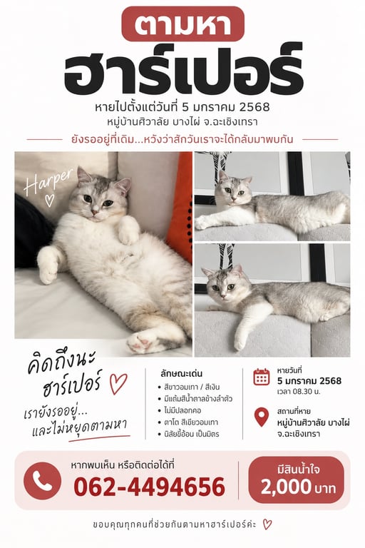 ฮาร์เปอร