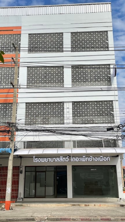 โรงพยาบาลสัตว์เดอะเพ็ทช้างเผือก