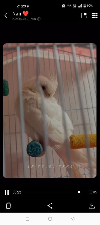 ขาว
