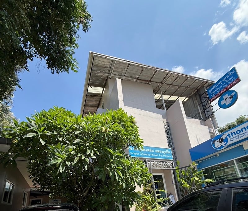 Thonglor Chalong Phuket Pet Hospital โรงพยาบาลสัตว์ทองหล่อ ภูเก็ต
