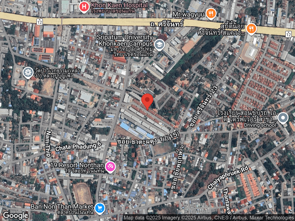 สถานที่หายของพูม่า