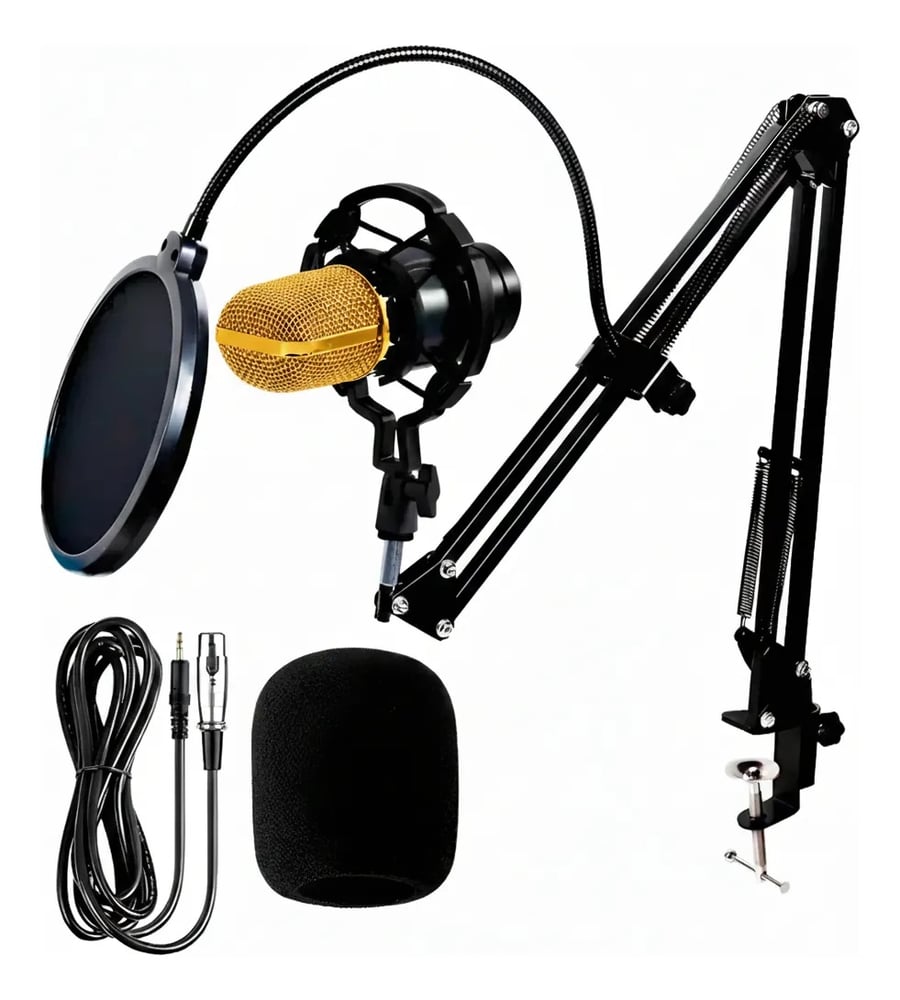 Kit Microfono Condenser Profesional Brazo Bm800