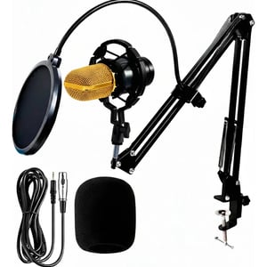Kit Microfono Condenser Profesional Brazo Bm800