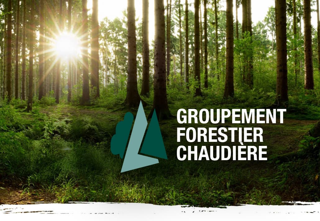 Groupement Forestier Chaudière - Réalisation d'Ubéo Solutions Web