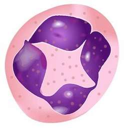 LIfT BioSciences logo