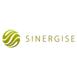 Sinergise logo