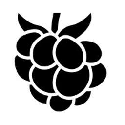 Cloudberry Pioneer Investments logo