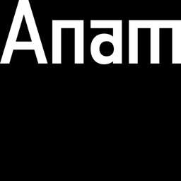Anam logo