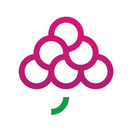 Grapes IT Solutions logo