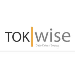 TokWise logo
