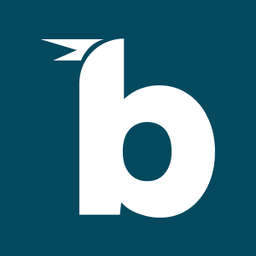 Birdie logo