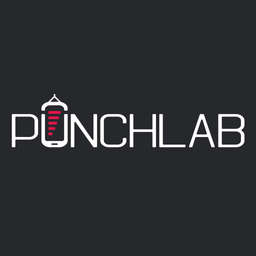 PunchLab logo