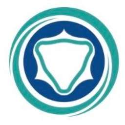 ProVerum Medical Logo