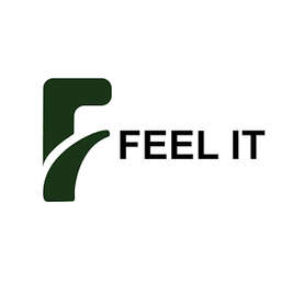 FEEL IT logo