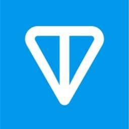 TON logo