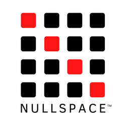 Nullspace Inc. logo