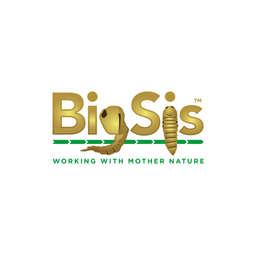 BigSis logo
