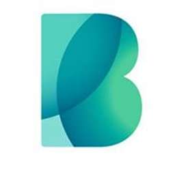 Bigbank Logo