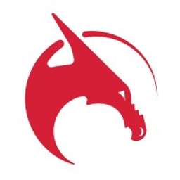 Draig Therapeutics logo