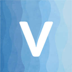 Venturi Partners logo