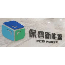 PCG Power logo