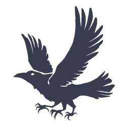 BlackCrow Capital logo