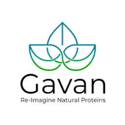 Gavan logo