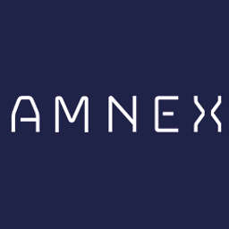 Amnex Infotechnologies logo