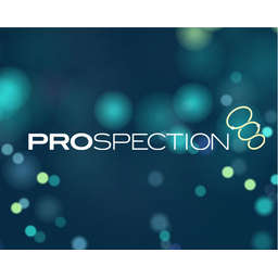 Prospection logo