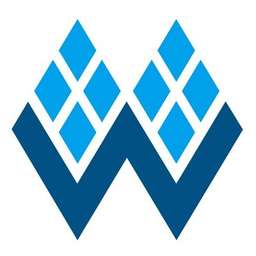 GOWIN Semiconductor logo