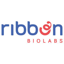 Ribbon Biolabs logo