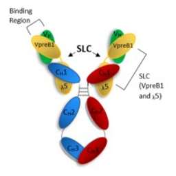 RevOpsis Therapeutics logo