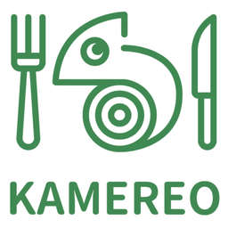 Kamereo logo