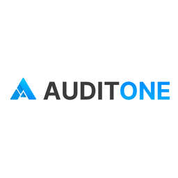 AuditOne logo