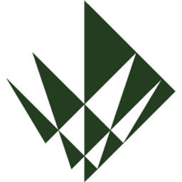 Callaghan Innovation Logo