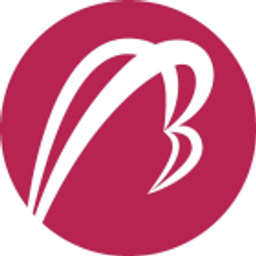 Betatron Venture Group Logo